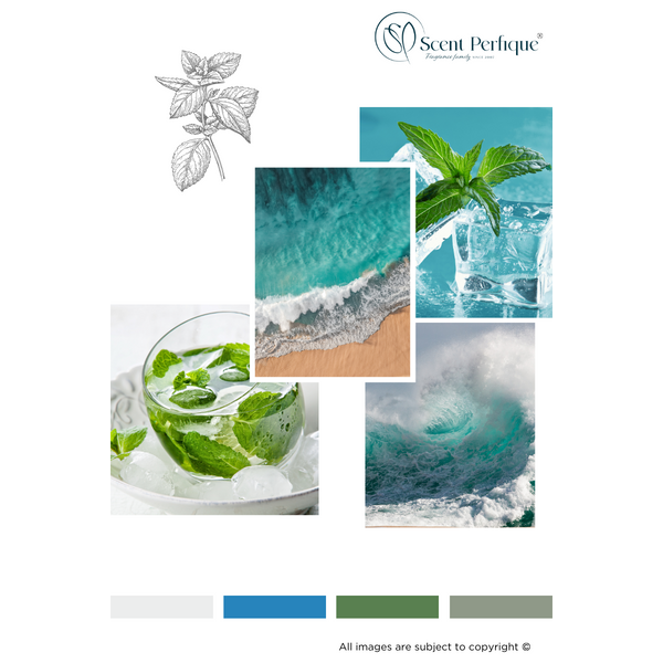 Ocean Waves Fragrance Oil | Candle & Soap Making Supplies