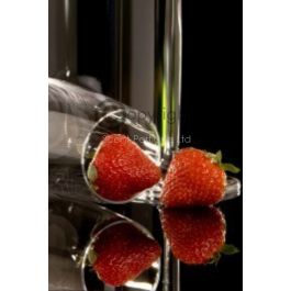 champagne and strawberries candle fragrance oil